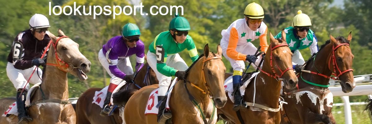 lookupsport.com